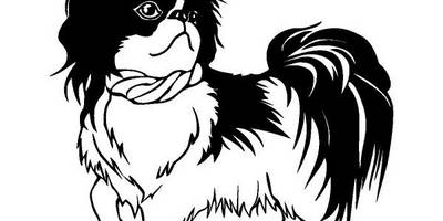 Животные 3825