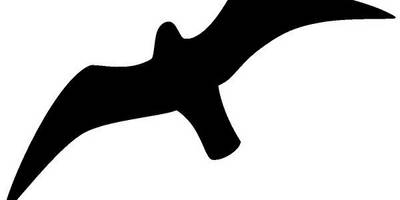 Животные 1717