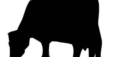 Животные 4064