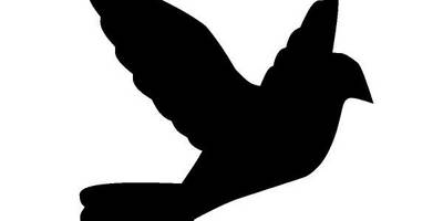 Животные 2418