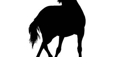 Животные 4038