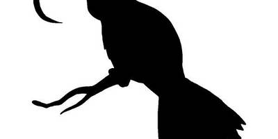 Животные 435