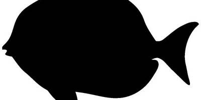 Животные 2970