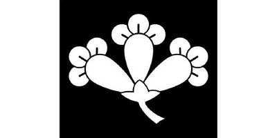 Японский узор 2560