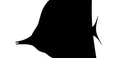 Животные 1294