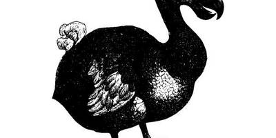 Животные 2766