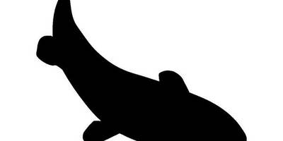 Животные 1411