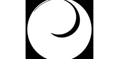 Японский узор 2486