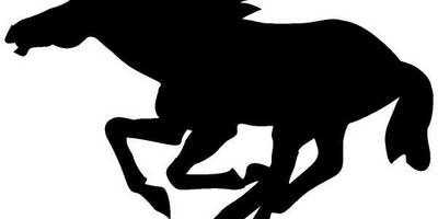 Животные 305