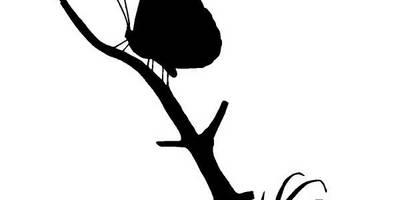 Животные 3813