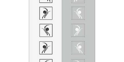 Прямоугольный орнамент 0704