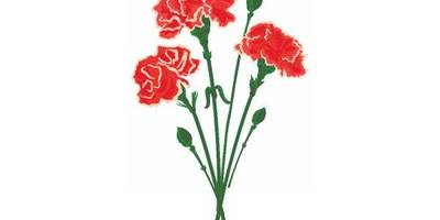 Шаблон к 9 мая №1