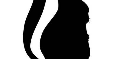 Животные 1343