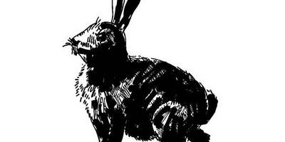 Животные 734