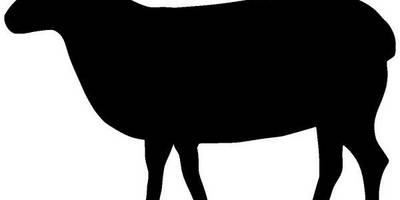 Животные 774