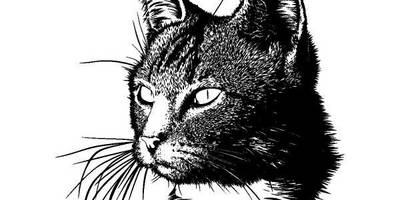 Животные 1170