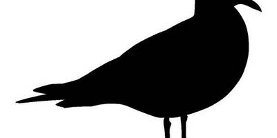 Животные 4250