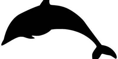 Животные 281