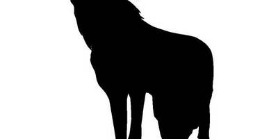 Животные 184