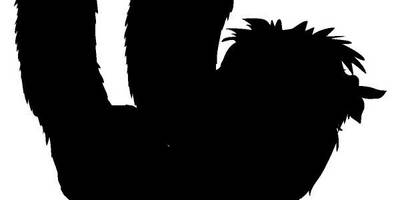 Животные 2079