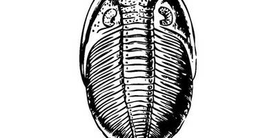 Животные 140