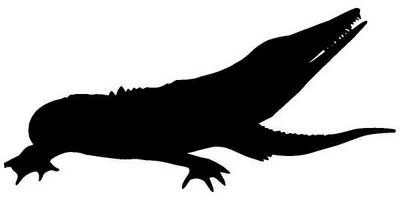 Животные 3445