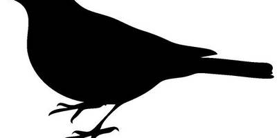 Животные 1667