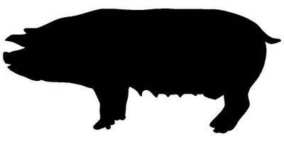 Животные 3112