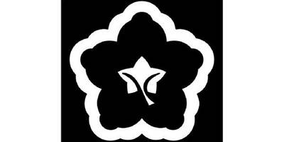 Японский узор 3295