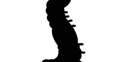 Животные 1383