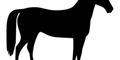 Животные 1254