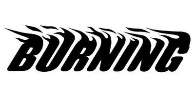 Виниловая наклейка на авто 13