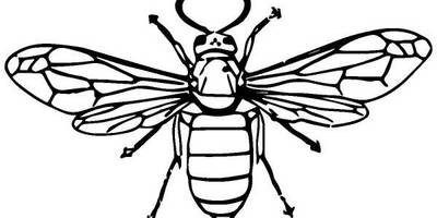 Животные 928