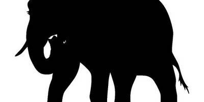 Животные 2734