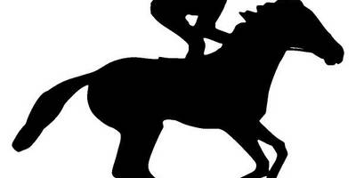 Животные 3737