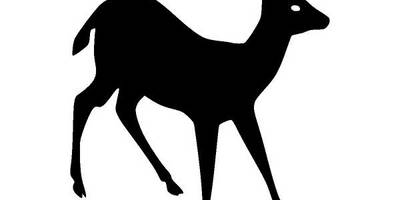 Животные 2910