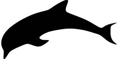 Животные 1594