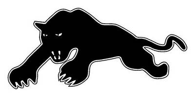 Виниловая наклейка на авто 545