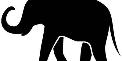 Животные 2646