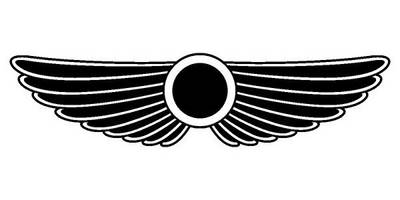 Виниловая наклейка на авто 66