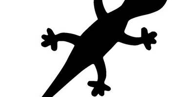 Животные 2991