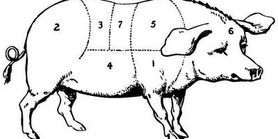 Животные 274