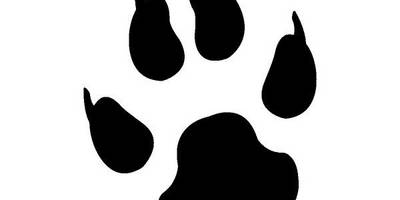 Животные 3036