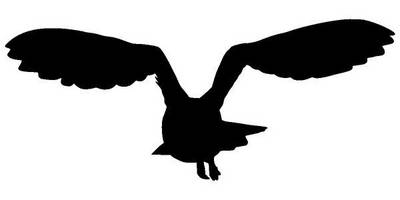 Животные 3318