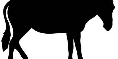 Животные 3753