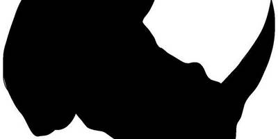 Животные 631