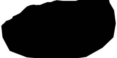 Животные 356