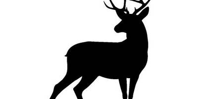 Животные 1346