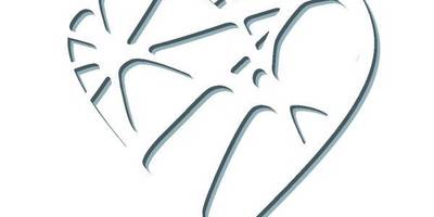 Сердце с узором паутина