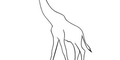 Животные 4102